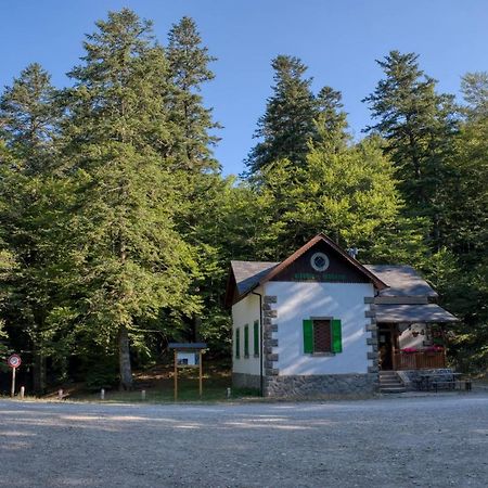 La Casa Di Gloria - Residence Affitta Camere Бадья-Праталья Экстерьер фото